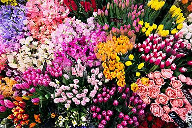 《木卫四协议》开发者解释如何利用AI提升恐怖感